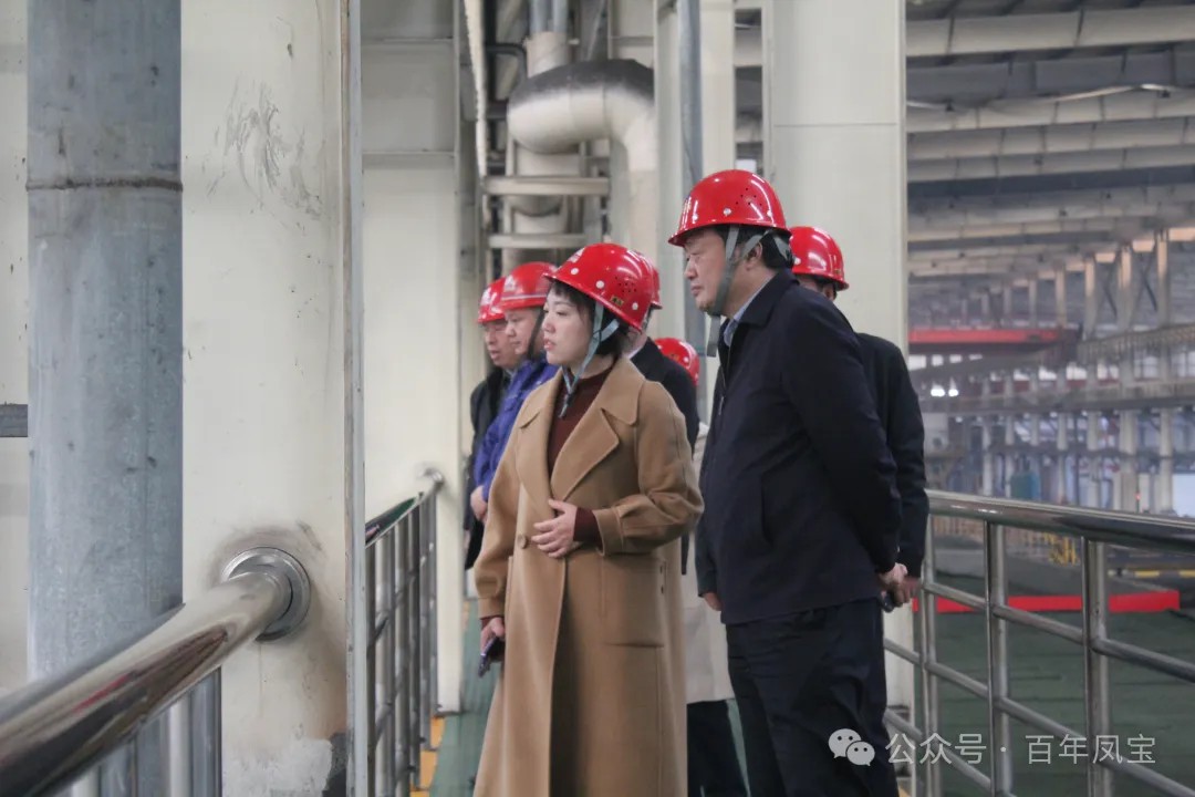 陈佳到DUOBAO多宝·(中国有限公司)官方网站调研