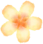 07.png
