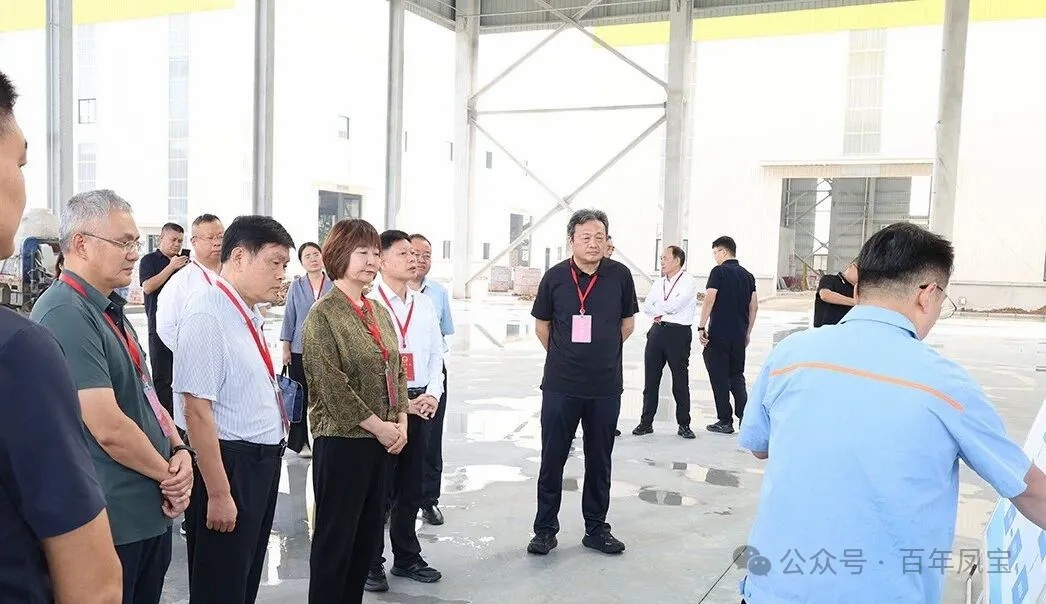 林州市人大工作组视察完美官方网页版管业860项目和大通物流园拆车项目